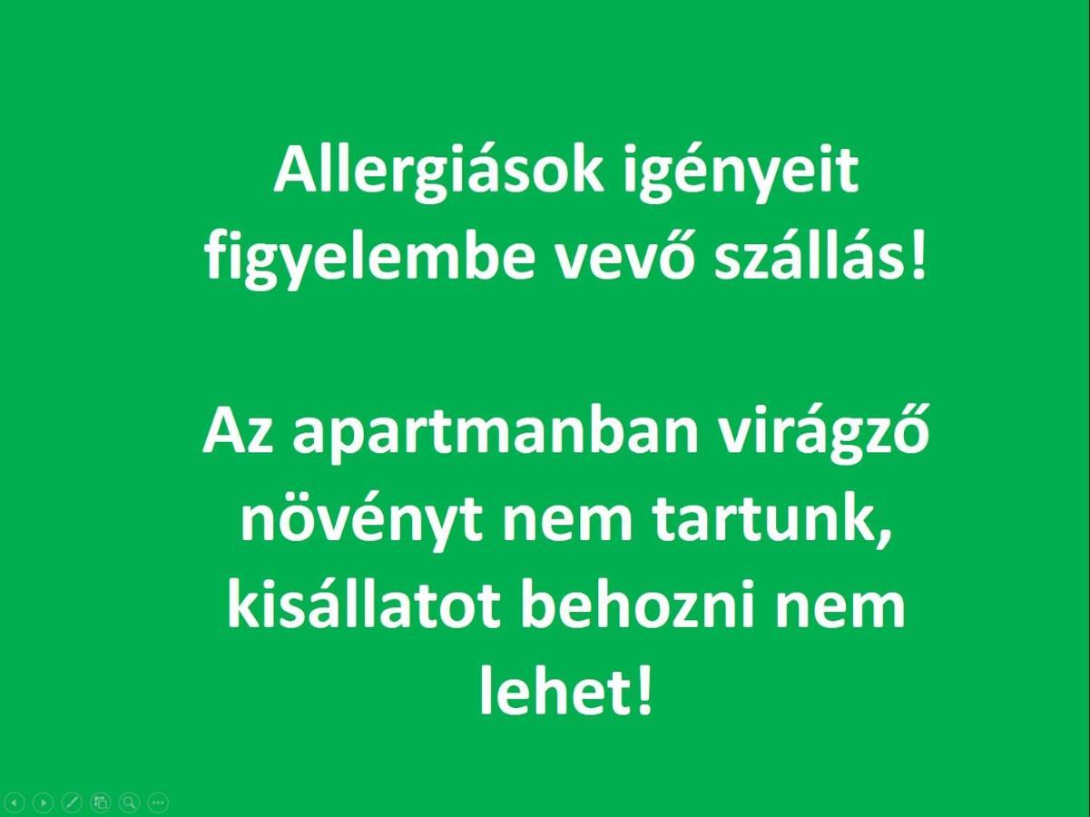 Smart Business Apartman Мишкольц Экстерьер фото